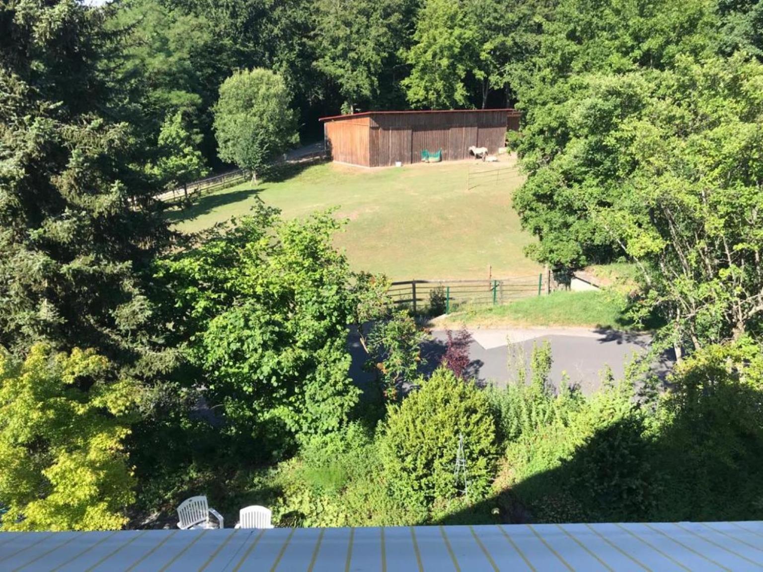 Pension-Ferienwohnung Liesbachtal Direkt Am Waldrand Bayerische Rhoen Schönau an der Brend Cameră foto